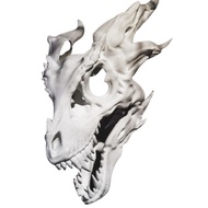 Headgear Toy Realistic Delicate Resin Movable Dragon Jaw Puppet Toy Decoration for Friends