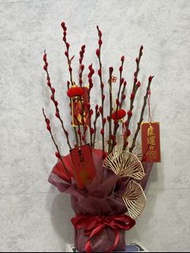 年花 新年擺設 新年盆栽 銀柳