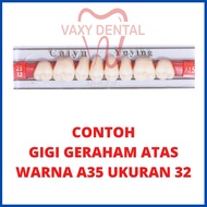 Gigi Caiyu Geraham Atas 1 papan/set/strip isi 6 butir gigi palsu posterior upper merek cayyu yuying 