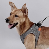 PETKIT Dog Harness Air Pro (M)