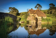 Hobbiton and Rotorua Day Tour