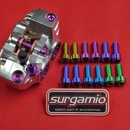 Titanium Caliper Bolts 81