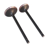 Motorcycle Engine Vae Intake Exhaust Stem Vae Oil Seal para sa LIFAN CG200 CG 200 200cc Go Cart Dir