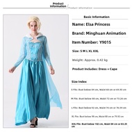 Disney Princess Anna Elsa Costume