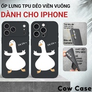 IPhone case printed with image 17/16/16e/15/14/13/12/11/X/XR/XS/8/7/6/6S Pro Max Plus with ip border