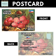 Rafflesia Poskad Postcards sabah souvenir