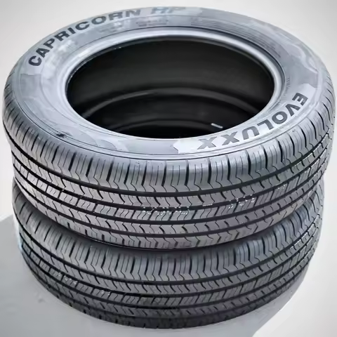 2 Tires Evoluxx Capricorn HP 225/60R17 99H All Season M+S