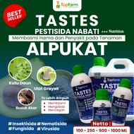 Obat Semprot Buah Alpukat / Obat Pembasmi Ulat Alpukat / Obat Penumbuh Buah Alpukat / Obat Hama Ulat