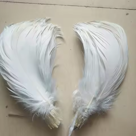 Wholesale 10pcs / lot rare white eagle feathers long 18-23cm / 7-9 inch beautiful pattern feathers