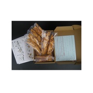 KOA PG 1/60 X20A Garage Kit Resin white mold modification parts