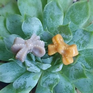 YY0714B Alxa Carved Bowknot World Chat Up And Down 13.8 X 10.4 X 6.6 Or You Can Also Look At Goods L