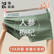 Top Quality Men's Pure Cotton Plus Size Breathable Brief Shorts