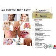 Ganozhi toothpaste 75g