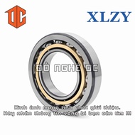 XLZY Bearing 62205 61802 62203 61800 61806 62302 61801 61908 62304 62200 61907 62202 61904 62300 619