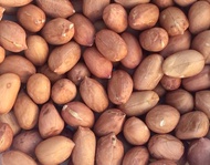Raw Peanut with skin / Mani 1 kg (Good Quality)