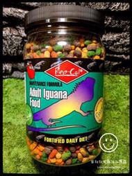蛋叔叔-Rep-Cal 綠 鬣蜥 成體 10oz 飼料 水龍 雙冠 鬆獅 草巨 王者 蟋蟀 麥蟲 維生素 礦物質 