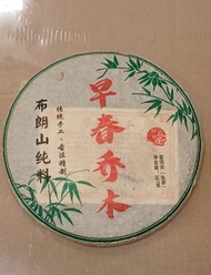 早春喬木 普洱茶餅（生茶）