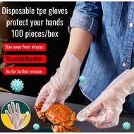 Disposable Thickened Food Grade Film Gloves Kitchen BBQ Crayfish Gloves Transparent Disposable Glove