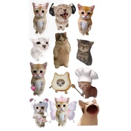 Cute sticker/ Journal Sticker Cute Sticker/ Handmade Sticker/ Cat Sticker Cat Sticker Meme/ Cute Sti