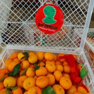 Buah Jeruk Santang isi 6 kg/Jeruk kecil manis/Hampers Imlek/Santang