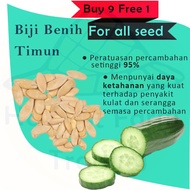 Biji Benih Timun Hijau 10 Biji Vegetable Seed Cucumber  Cucumber 黄瓜种子  Family Seeds Plant Seed