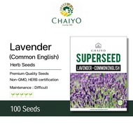 Lavender (Commonenglish) Herb Seeds , 100 Seeds