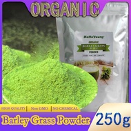 barley powder pure organic Organic Barley Grass Powder original 250g barley grass official store