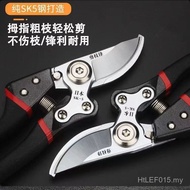 Grape Household Pruning Pruning Scissors Rake Rake Tree Scissors Fruit Tree Scissors Wholesale Rake 