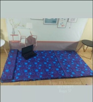 Foam Mattress 3 Folds w/ Nylon with Pillow 2x36x75 Random Color