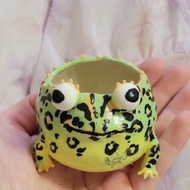 Holy Spirit手作 綠色角蛙小陶盆 手捏陶器 多肉小盆器 手作盆器