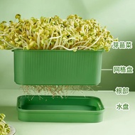 [Ready Stock] Bean Sprout Germination Basin Household Bean Sprout Germination Bean Sprout Handy Tool