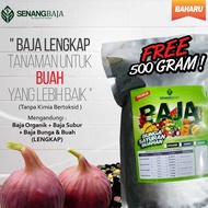 BAJA SB POKOK FIG TIN & BUAH ORGANIK+SUBUR+BUAH PACK JIMAT 1000GRAM+FREE 500GRAM+FREE SUDU SUKATAN