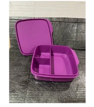 ready stock in singapore - Tupperware Lollitup 550ml purple lunch box