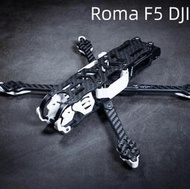 大通DIATONE新款羅馬機架 ROMA F5 5寸 花飛機架 FPV款/DJ款現貨