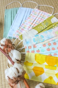 【雙面二重紗立體環保口罩】有壓條 透氣 柔軟 可清洗 重複使用