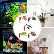 Fish Rest Leaves Aquarium Scenery Fighting Fish Egg Grass Decoration Simulation Water Leaves E7h5