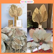 Set of 5 natural dried palm leaves 50cm to decorate rooms, homes, and events