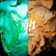 Ubi Gadong (ready to eat/RAW)