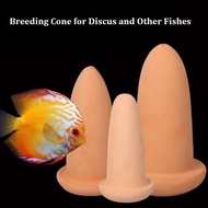 🔥🔥 Ready stock Breeding Ceramic Cone for Discus / Angel fish / Other fish