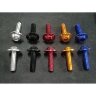 alluminum color bolt 6x16mm (10pcs.) ordinary bolt