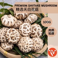 【无硫磺】精选白花菇 / 一口菇 / 茶花菇 / 香菇 Dried Mushroom / Tea Flower / White Flower Mushroom / Dried Shiitake Mushroom 100g 200g 500g