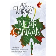 Near Canaan by Liese O'Halloran Schwarz (UK edition, paperback)