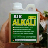 Air Alkali + Jamu Untuk Ayam Meningkatkan Pencernaan dan Kesehatan Hewan 500ml
