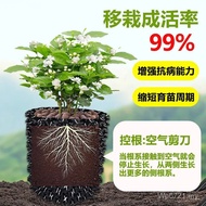 Tree Limit Root Cultivation j8 Drainage Board Fence Seedling High Planting j8 Tree Thickened Board g