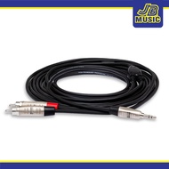 Hosa - Hmr 006y Pro Stereo Breakout Trs to Dual Rca Cable, 6 Ft