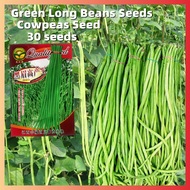 ปลูกง่าย ปลูกได้ทั่วไทย ของแท้ 100% เมล็ดพันธุ์ 30เมล็ด เมล็ดพันธุ์ ถั่วฝักยาว Long String Beans Seeds ลำน้ำชี เมล็ดพันธุ์ผัก เมล็ดพันธุ์ ผักสวนครัว เมล็ดพันธุ์ผัก เมล็ดผัก เมล็ดพืช ผักสวนครั เมล็ดพันธุ์พืช เมล็ดดอกไม้ พรรณไม้ ต้นไม้ เมล็ดพันธุ์ผัก Plants