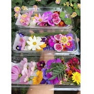 Edible flower (outside town) + packing Edible Flowers Edible Cake Decoration | Food, drink, cake Gar