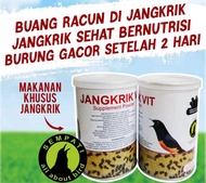 Pakan Khusus Jangkrik Untuk Burung Murai Kacer Cucak Anis Jadi Gacor Jangkrik Vit Sempati