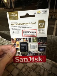 SanDisk Max Endurance 256gb Micro SD (車cam專用）