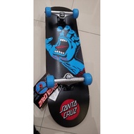 santa cruz skateboard